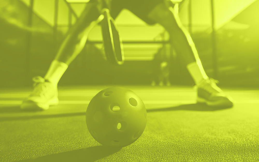 Labor Day pickleball Tournament